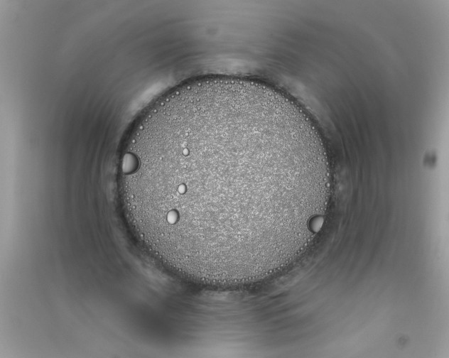 X0000090750679200708172028