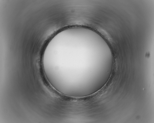 X0000090750680200708172028