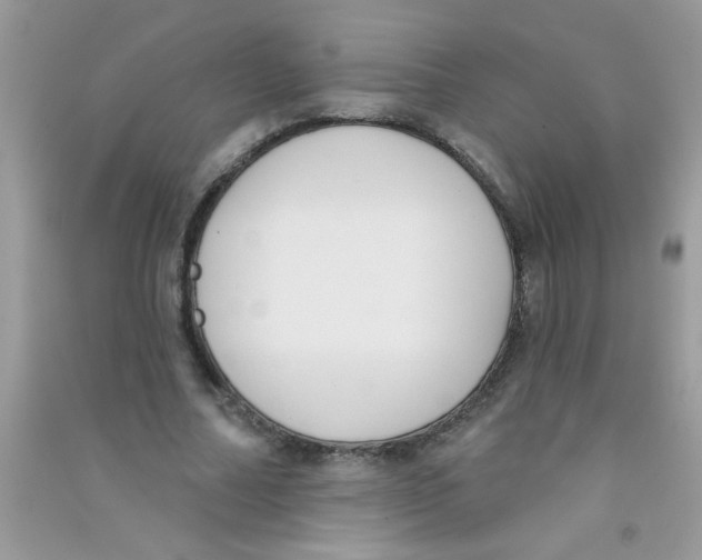 X0000090750682200708172028