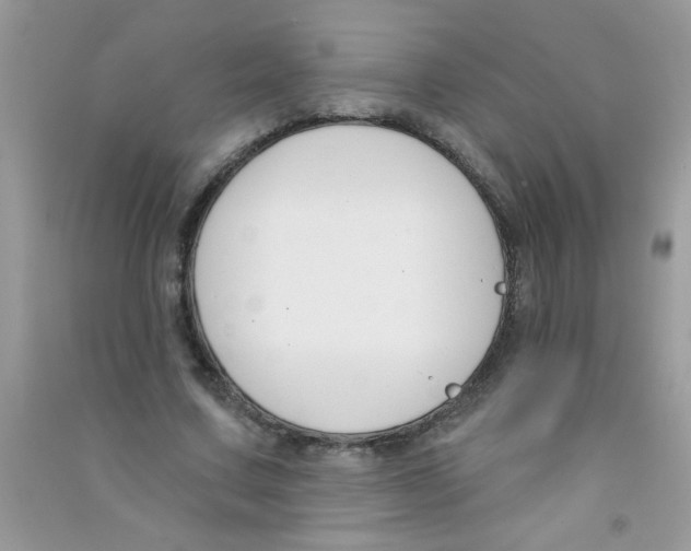 X0000090750683200708172028