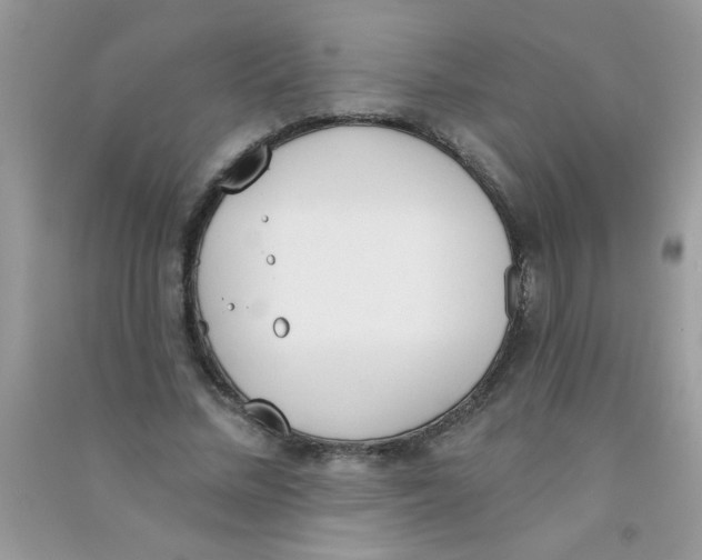 X0000090750684200708172028
