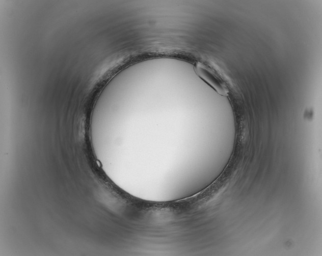 X0000090750685200708172028