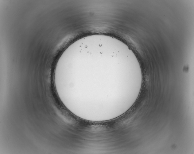 X0000090750686200708172028