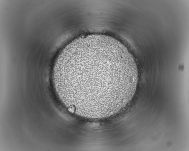 X0000090750687200708172028