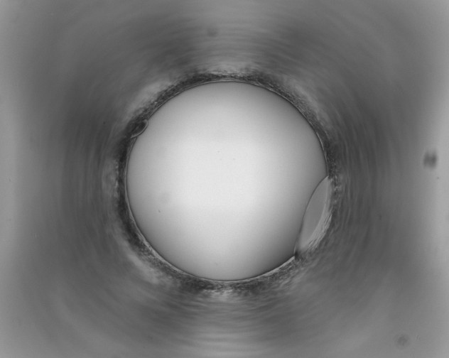 X0000090750688200708172028