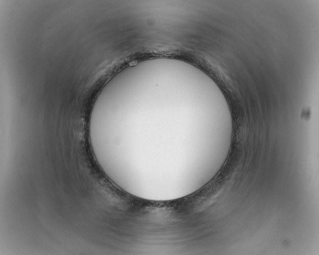 X0000090750689200708172028