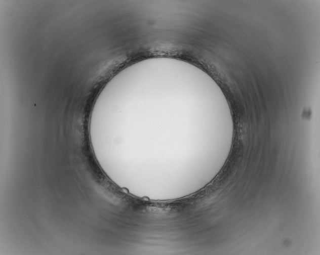 X0000090750690200708172028