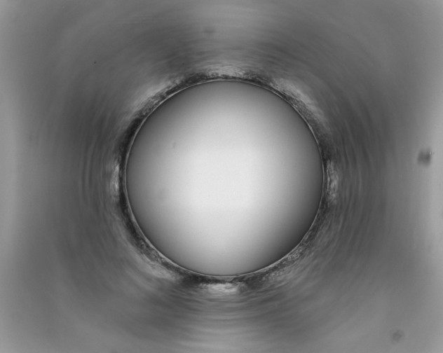 X0000090750692200708172028