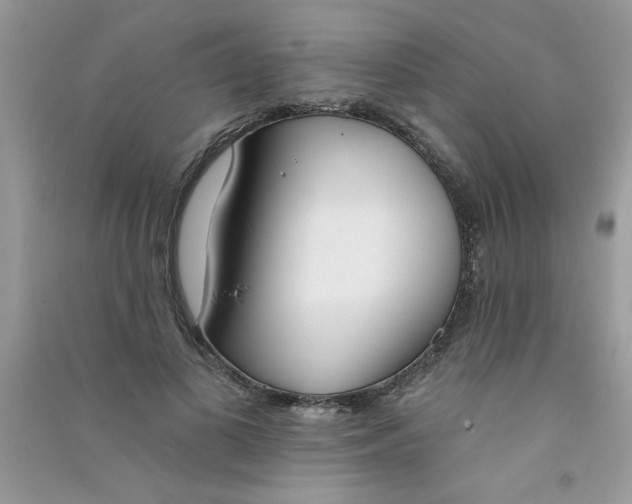 X0000090750693200708172028