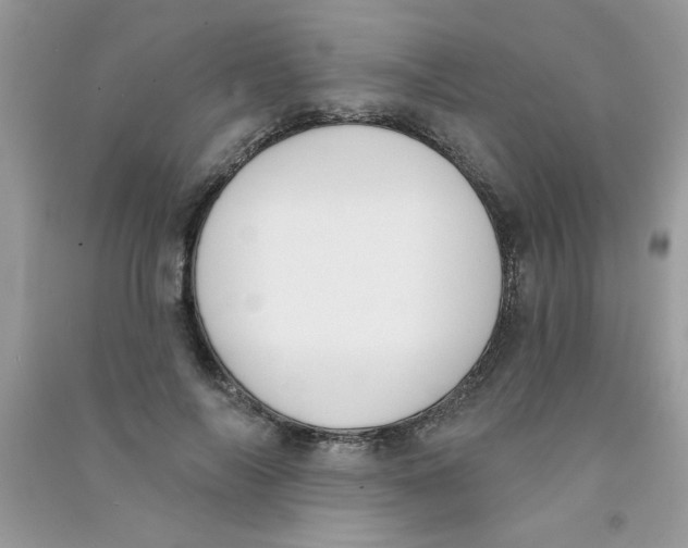 X0000090750694200708172028
