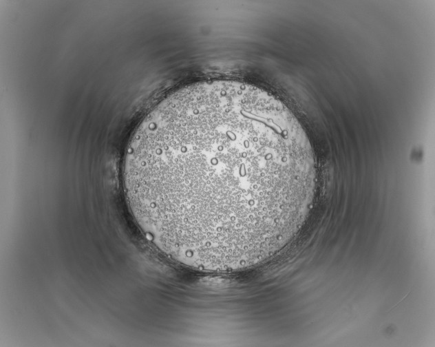 X0000090750699200708172028