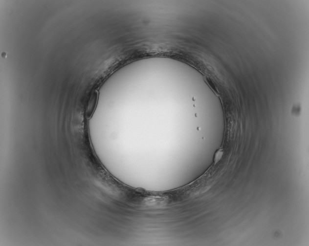 X0000090750700200708172028