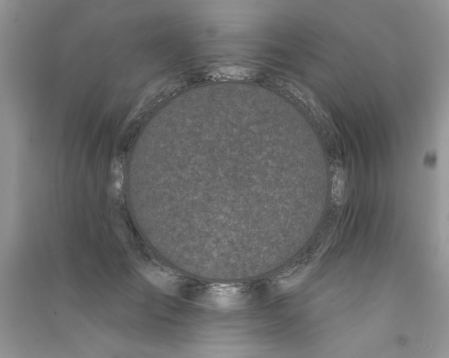 X0000090750701200708172028