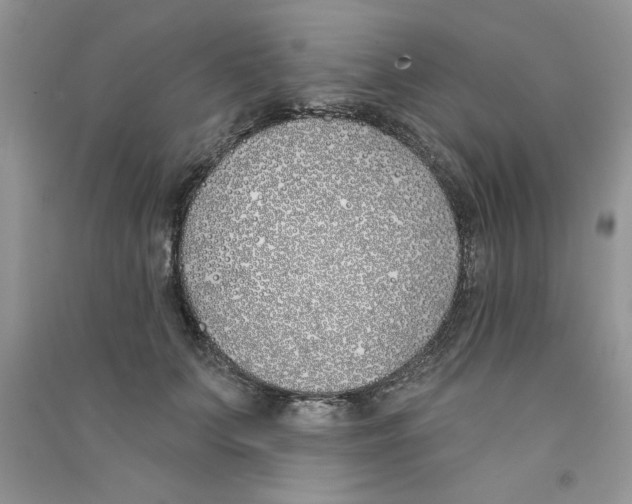 X0000090750703200708172028