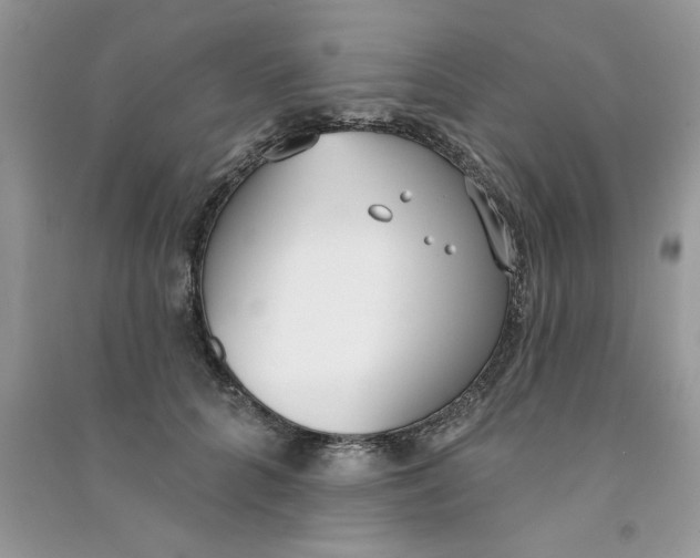 X0000090750704200708172027