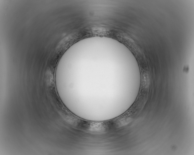 X0000090750705200708172027