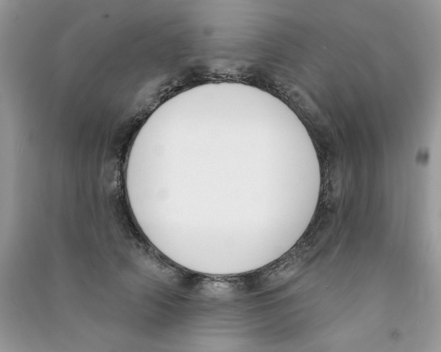 X0000090750706200708172027