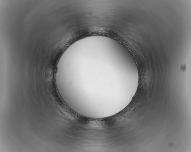 X0000090750708200708172027