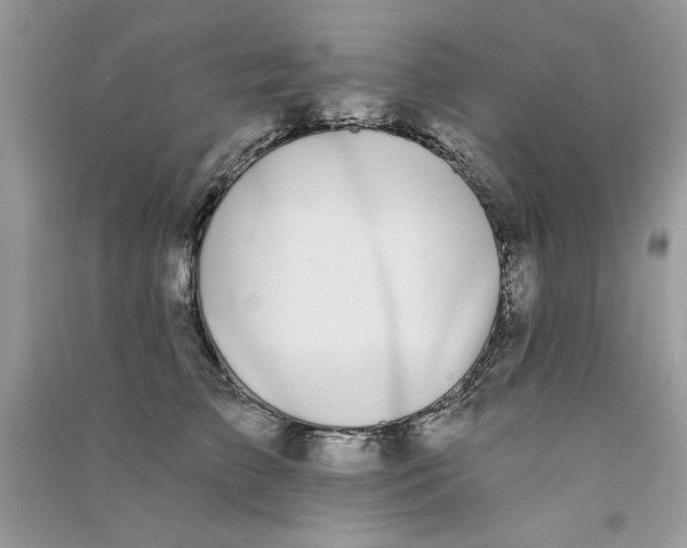X0000090750709200708172027