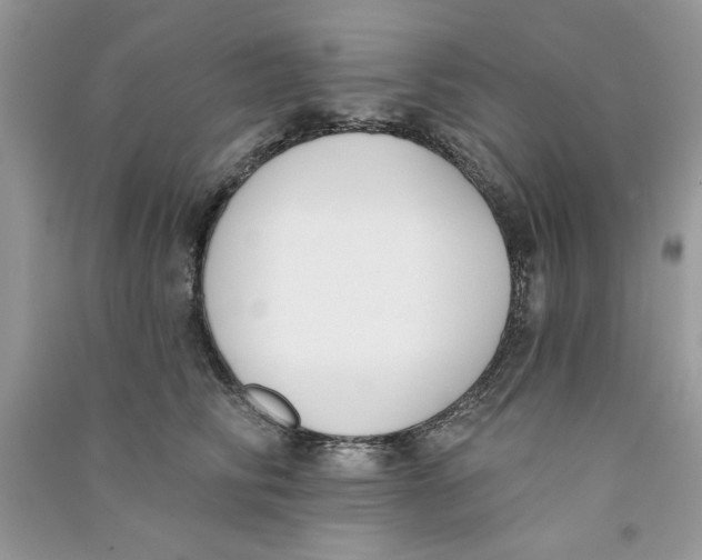 X0000090750710200708172027
