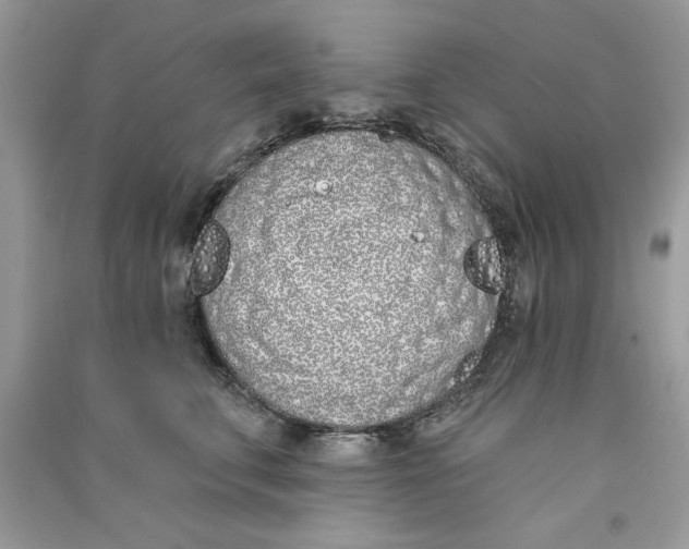 X0000090750711200708172027