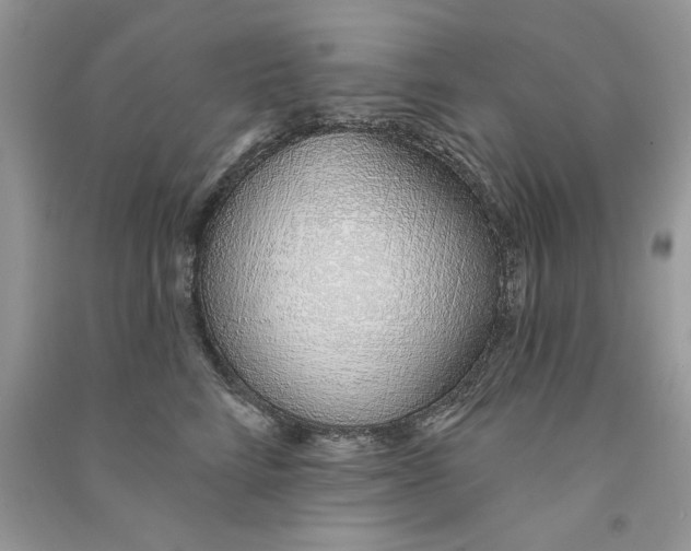 X0000090750712200708172027