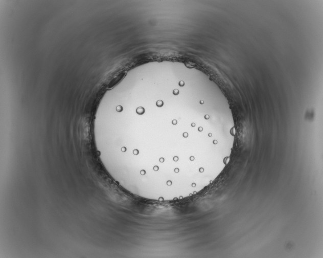 X0000090750715200708172027