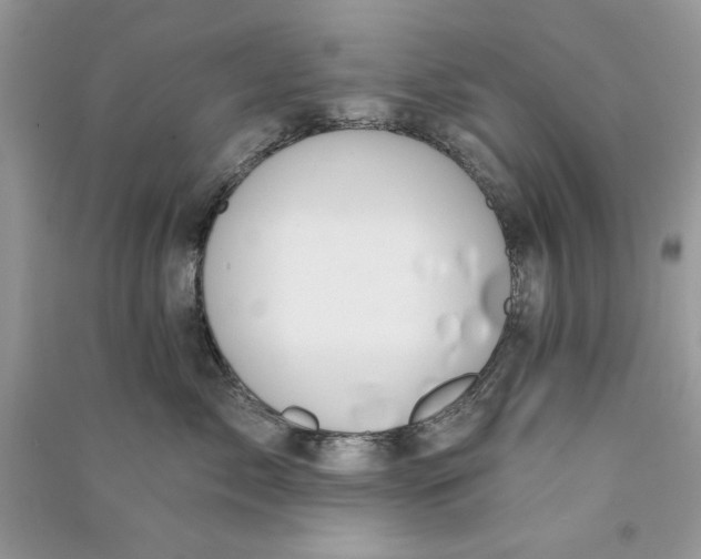 X0000090750717200708172027
