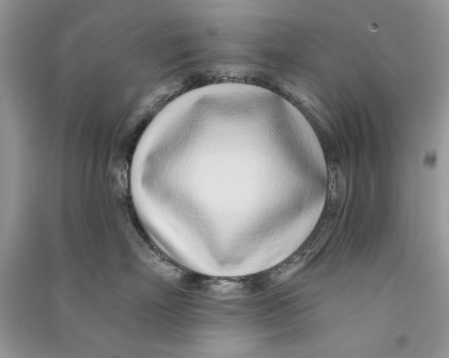 X0000090750718200708172027