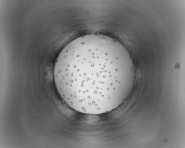 X0000090750719200708172027