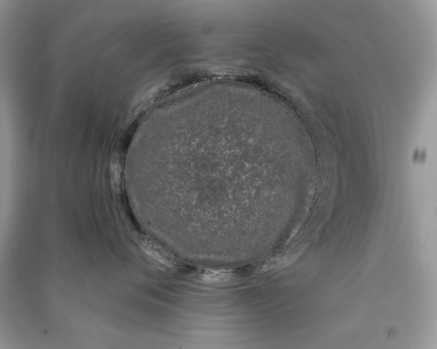 X0000090750720200708172027