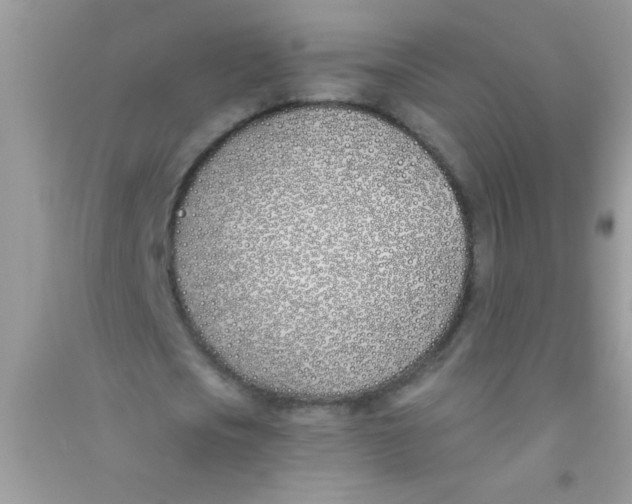 X0000090750721200708172027