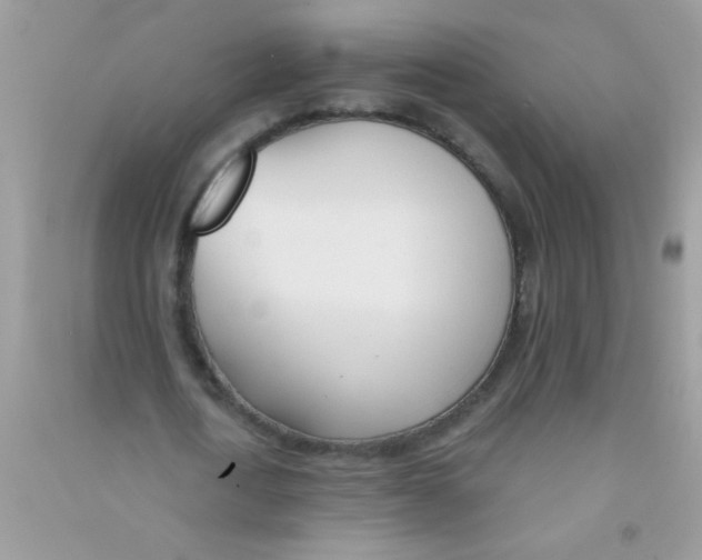 X0000090750722200708172027