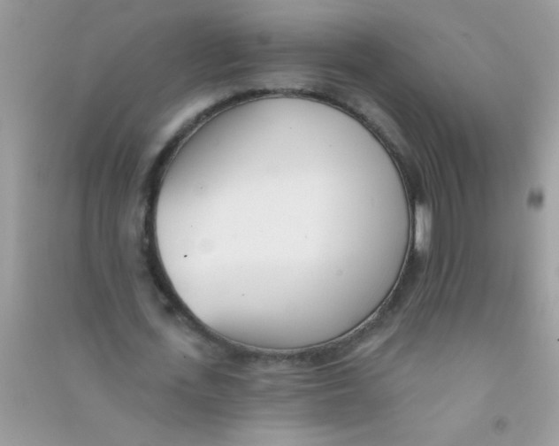 X0000090750723200708172027