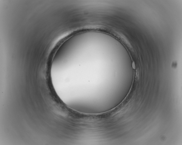 X0000090750724200708172027
