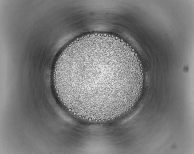 X0000090750725200708172027