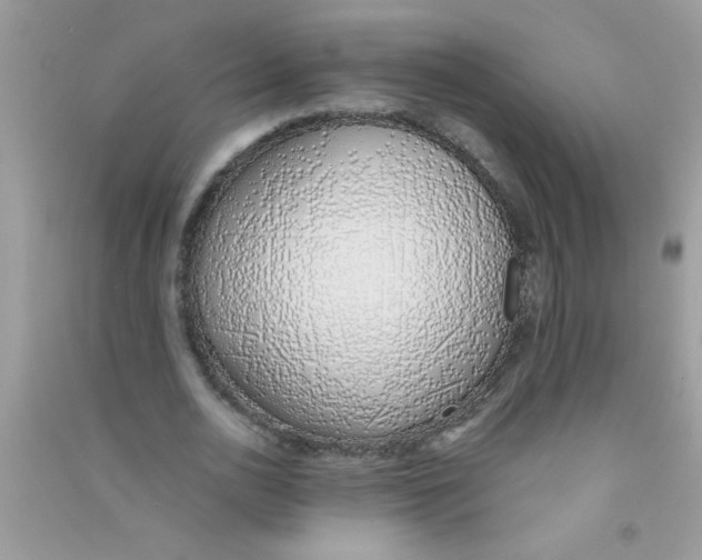 X0000090750726200708172027