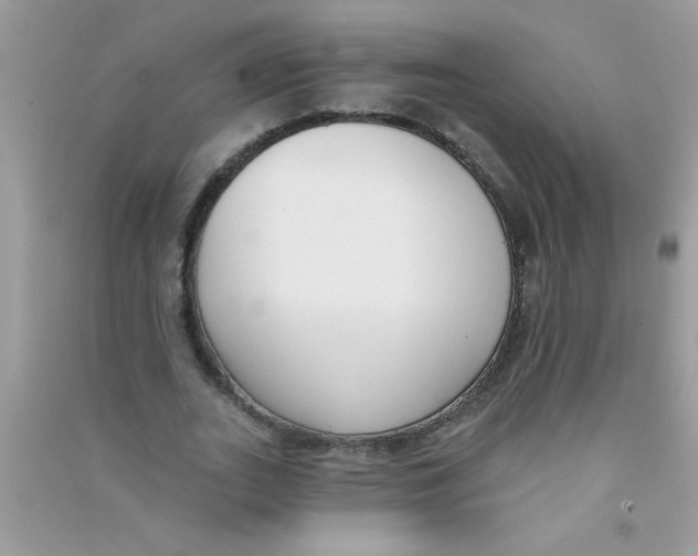 X0000090750727200708172027
