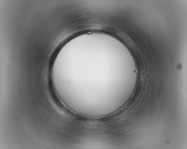 X0000090750728200708172027