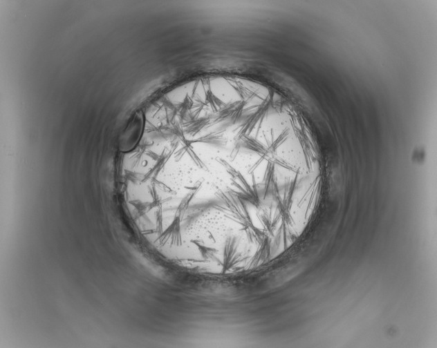 X0000090750729200708172027