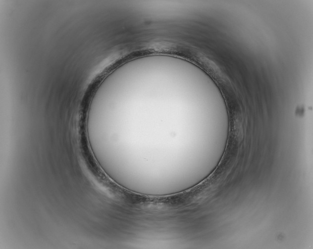 X0000090750730200708172027