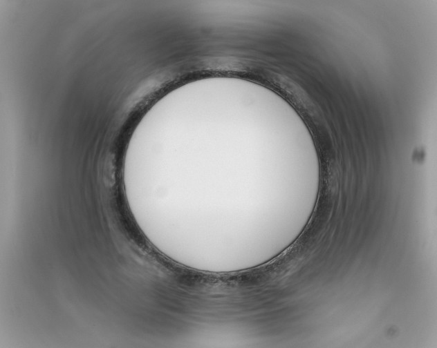 X0000090750731200708172027