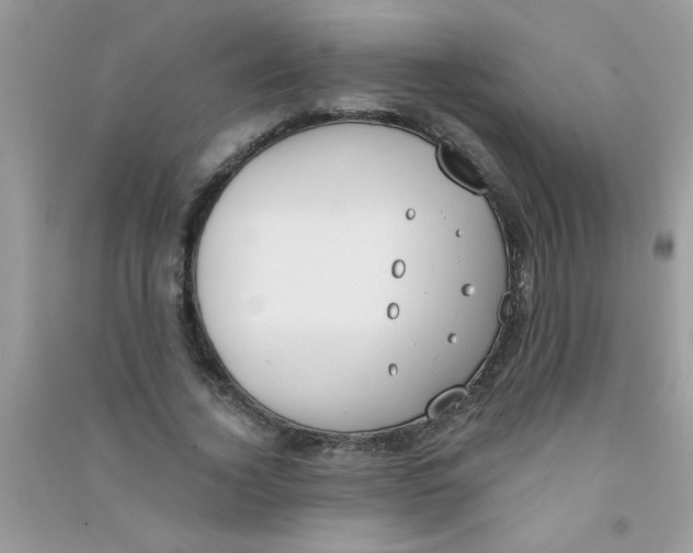 X0000090750732200708172027