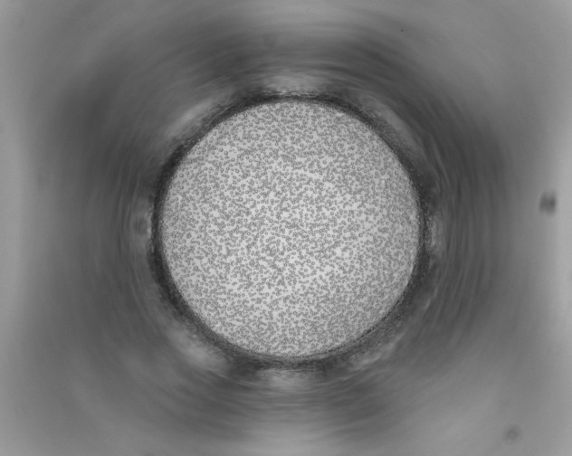 X0000090750733200708172027