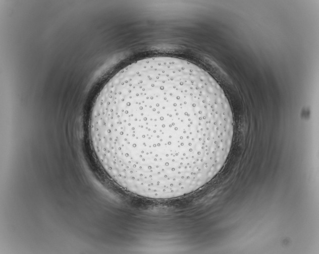 X0000090750734200708172027