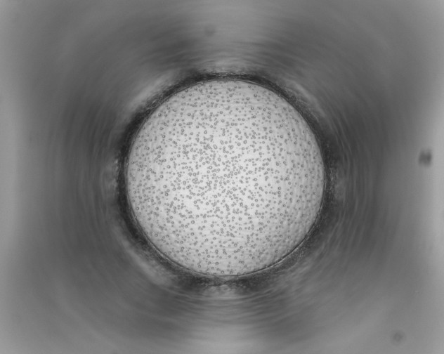 X0000090750735200708172027