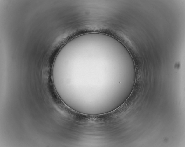 X0000090750736200708172027
