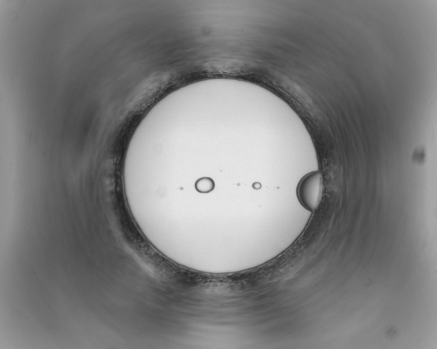 X0000090750738200708172027