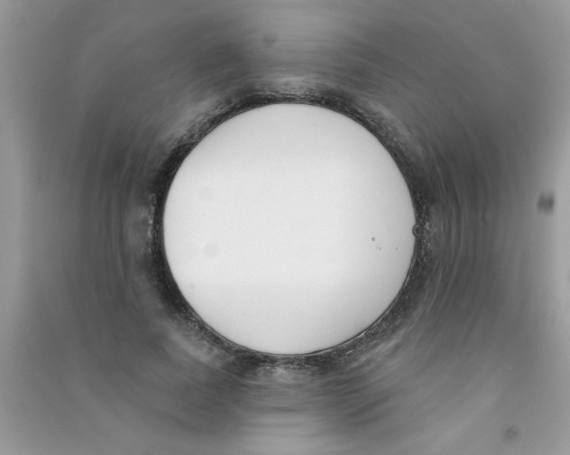 X0000090750739200708172027