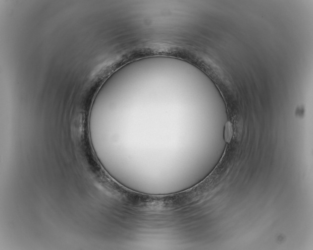 X0000090750740200708172027
